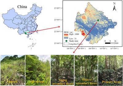 Response of soil organic carbon and its fractions to natural vegetation restoration in a tropical karst area, southwest China